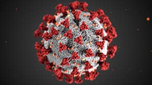 Image of 3D Covid-19 Particle