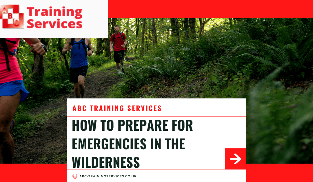 How to Prepare for Emergencies in the Wilderness