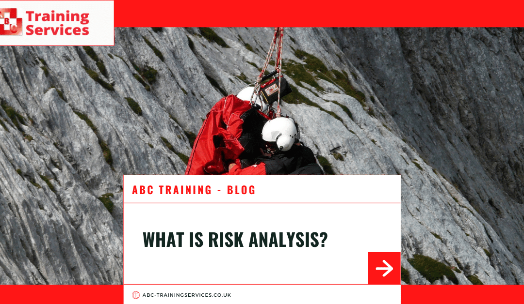 What is Risk Analysis?